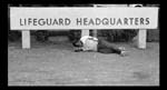 LifeguardHeadquarters