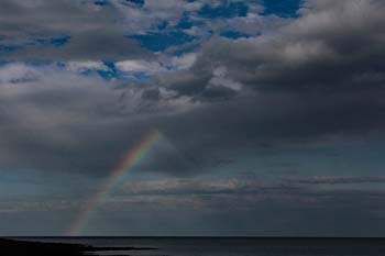 Cliffs of Dover 09