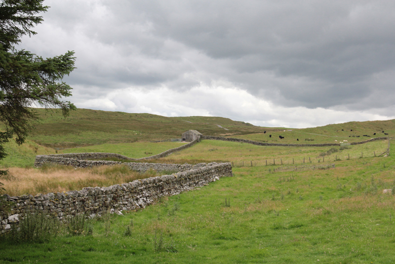 Hadrians Wall 02 