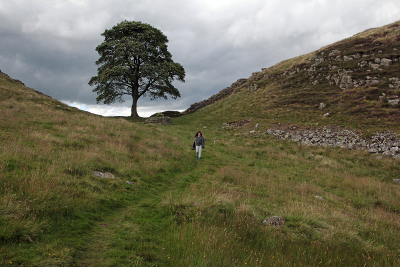 Hadrians Wall 38 