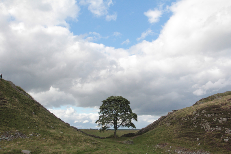 Hadrians Wall 41 