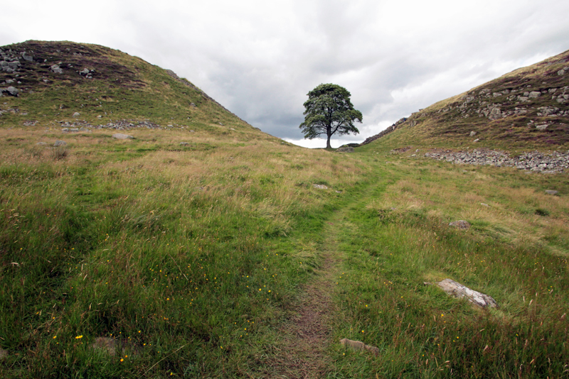 Hadrians Wall 44 