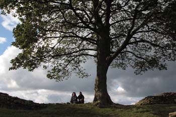 Hadrians Wall 49 