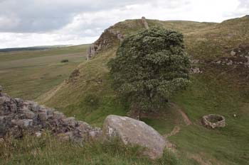 Hadrians Wall 50 