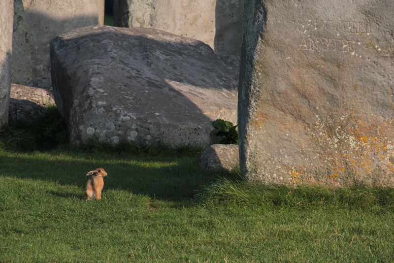 StoneHenge UK  25 